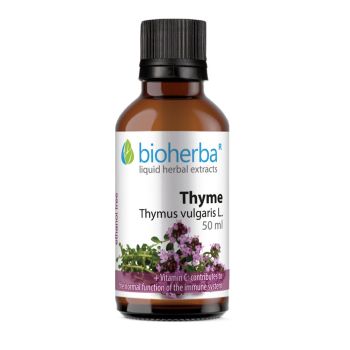 THYME Thymus vulgaris L.,