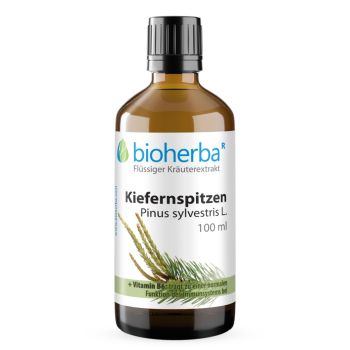 Kiefernspitzen Tropfen 100 ml – Pinus sylvestris L. mit Vitamin B6 von Bioherba