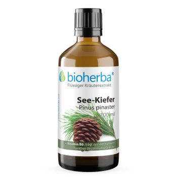 See-Kiefer, Pinus pinaster, Tropfen, Tinktur 100 ml online kaufen, besten Preis, Bioherba Reichenbach GmbH