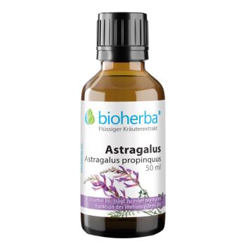 Astragalus, Astragalus propinquus, Tropfen, Tinktur 50 ml online kaufen, besten Preis, Bioherba Reichenbach GmbH