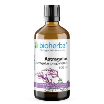 Astragalus, Astragalus propinquus, Tropfen, Tinktur 100 ml online kaufen, besten Preis, Bioherba Reichenbach GmbH
