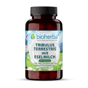 Eberraute mit Eselsmilch Kapseln online kaufen auf besten Preis Bioherba Reichenbach GmbH 
