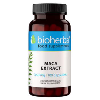 Chondroitinsulfat 490 mg Bioherba mit Chondroitinsulfat und Zink, 100 Kapseln
