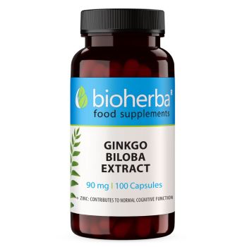 Ginkgo Biloba Extrakt 90 mg Kapseln Bioherba, Nahrungsergänzung mit Ginkgo biloba 10:1 und Zink
