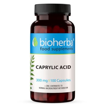 Caprylsäure 300 mg Kapseln Bioherba, Nahrungsergänzung mit mittelkettiger Fettsäure und Zink
