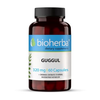 Extract de Guggul Bioherba 320 mg, 100 capsule cu Commiphora mukul 10:1 și crom
