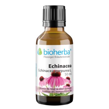 Echinacea, Echinacea purpurea L., Tropfen, Tinktur 50 ml online kaufen, besten Preis, Bioherba Reichenbach GmbH