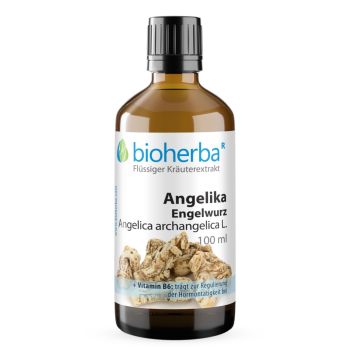 Angelika Engelwurz, Angelica archangelica L., Tropfen, Tinktur 100ml online kaufen, besten Preis, Bioherba Reichenbach GmbH