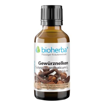 GEWÜRZNELKEN Syzygium aromaticum  L. online kaufen, besten Preis, Bioherba Reichenbach GmbH