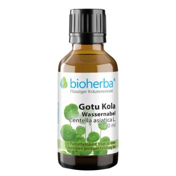 Gotu Kola Wassernabel Centella asiatica L. Tropfen Tinktur 50 ml online kaufen, besten Preis, Bioherba Reichenbach GmbH