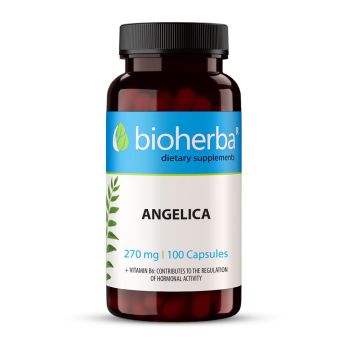 Angelica (angelica) extract 270 mg 100 capsule