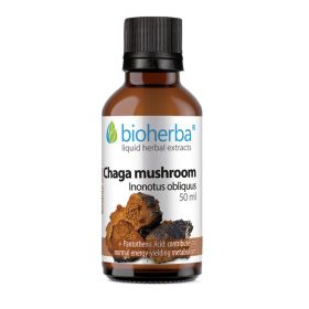 CHAGA MUSHROOM Inonotus obliquus,