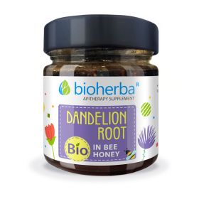 DANDELION  ROOT IN BEE HONEY, 280 g