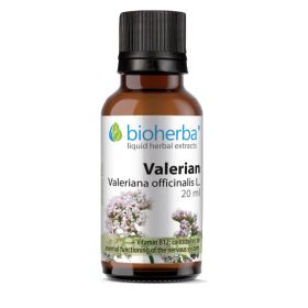 VALERIAN Valeriana officinalis L.