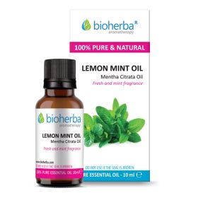 mint oil, citrate, mint, mentha citrata leaf