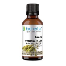 GREEK MOUNTAIN TEA Sideritis scardica L.