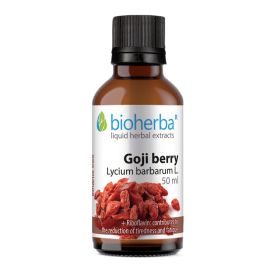  GOJI BERRY  Lycium barbarum L