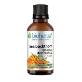 SEA BUCKTHORN Hippophae rhamnoides L.