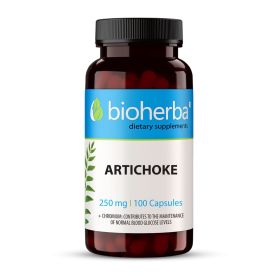 ARTICHOKE 250 mg 100 capsules