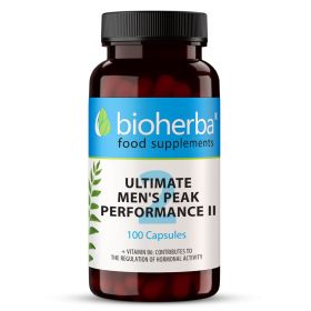 Testosteron Kapseln mit L-Arginin Bioherba mit L-Citrullin, Tribulus und Zink, 100 Kapseln
