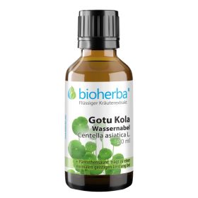 Gotu Kola Wassernabel Centella asiatica L. Tropfen Tinktur 50 ml online kaufen, besten Preis, Bioherba Reichenbach GmbH