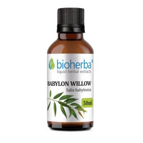 BABYLON WILLOW, Salix babylonica, Bioherba, liquid, herbal, extract, tincture, excretory system, toothache, muscle, joint, menstrual ailments