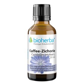 Kaffee-Zichorie, Cichorium intybus L., Tropfen, Tinktur 50 ml online kaufen, besten Preis, Bioherba Reichenbach GmbH