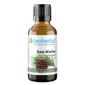 See-Kiefer, Pinus pinaster, Tropfen, Tinktur 50 ml online kaufen, besten Preis, Bioherba Reichenbach GmbH