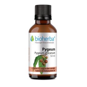 Pygeum, Pygeum africanum, Tropfen, Tinktur 50 ml online kaufen, besten Preis, Bioherba Reichenbach GmbH