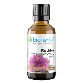 Rotklee, Trifolium pratense L., Tropfen, Tinktur 50 ml online kaufen, besten Preis, Bioherba Reichenbach GmbH