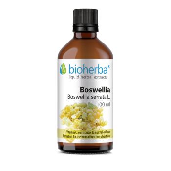 BOSWELLIA Boswellia serrata L, 