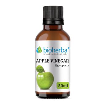 TINCTURE Apple cider vinegar, Malus pumila, diet, detox, healthy weight loss, healthy weight, weight loss