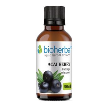 ACAI BERRY, Euterpe oleracea, Bioherba, liquid, herbal, extract, tincture, weight loss, cardiovascular system, healthy weight, detox, digestive system, digestion