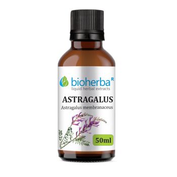 TINCTURE Astragalus, Astragalus membranaceus, tones, strengthens muscles and joints, immunity, physical performance, tone, strength