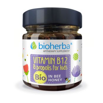 VITAMIN B12 & PROPOLIS FOR KIDS IN BEE HONEY, 280 g