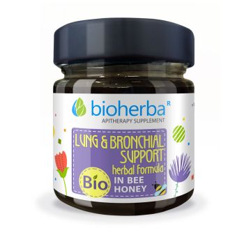 LUNG & BRONCHIAL  SUPPORT  HERBAL FORMULA IN BEE HONEY, 280 g
