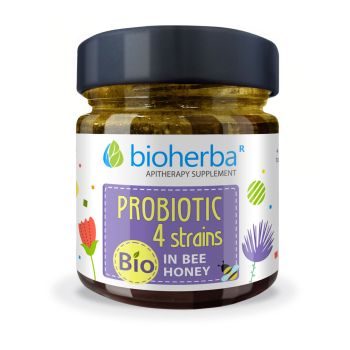 PROBIOTIC 4 STRAUNS IN BEE HONEY