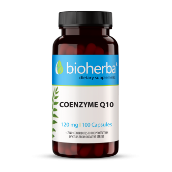 COENZYME Q10 120 mg 100 capsules