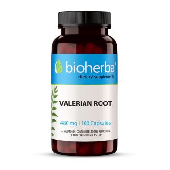 VALERIAN ROOT 480 mg 100 capsules