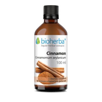 CINNAMON Cinnamomum zeylanicum, 