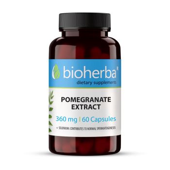 POMEGRANATE EXTRACT 360 mg 60 capsules 