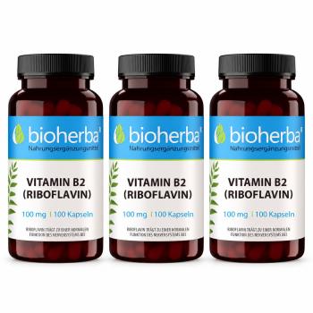 Vitamin B2 (Riboflavin) 100 mg 100 Kapseln , 3 St&uuml;ck