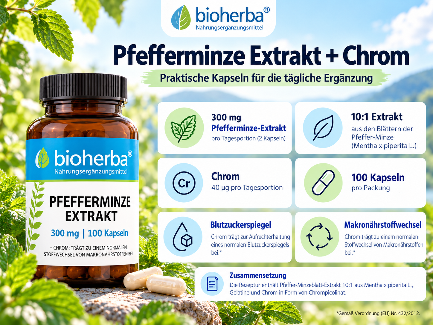 Infografik zu Bioherba Brennnessel Extrakt mit Eisen mit Produktvorteilen, Zusammensetzung und Informationen 
