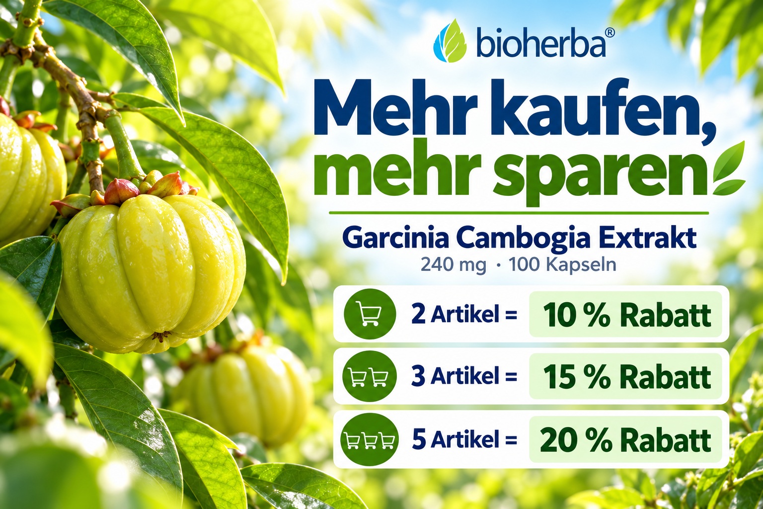 Mehr kaufen, mehr sparen: Bioherba Garcinia Cambogia Extrakt 240 mg &ndash; 100 Kapseln. 10 % Rabatt bei 2 Packungen, 15 % bei 3 Packungen und 20 % bei 5 Packungen.