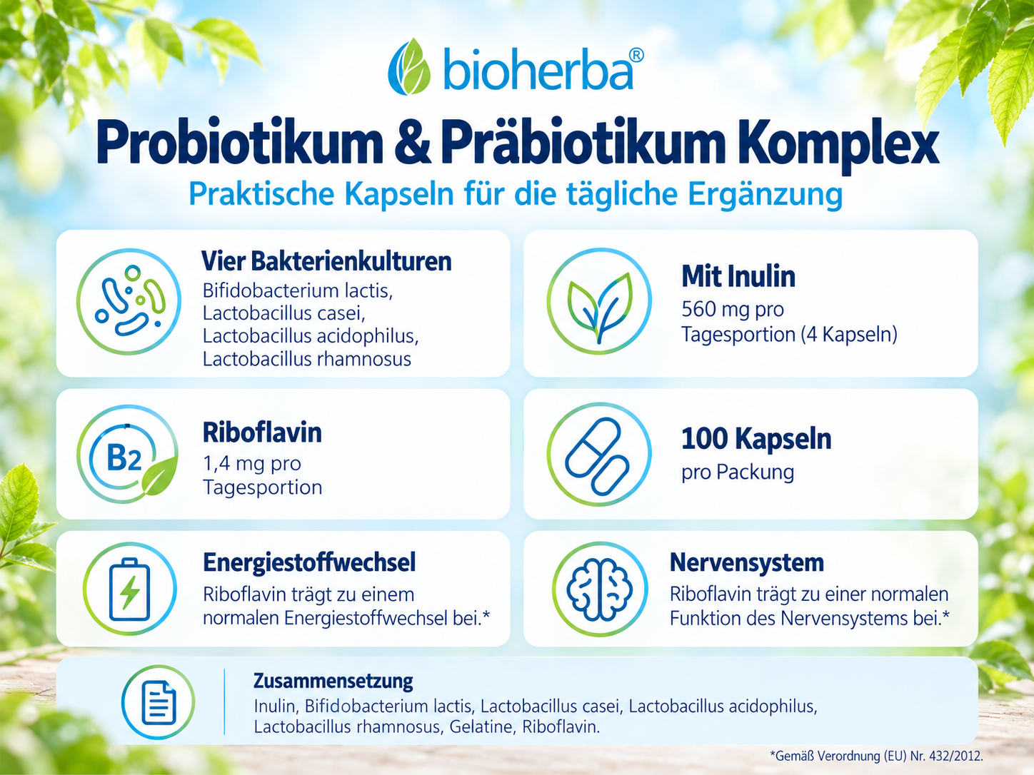 Infografik zu Bioherba Brennnessel Extrakt mit Eisen mit Produktvorteilen, Zusammensetzung und Informationen 