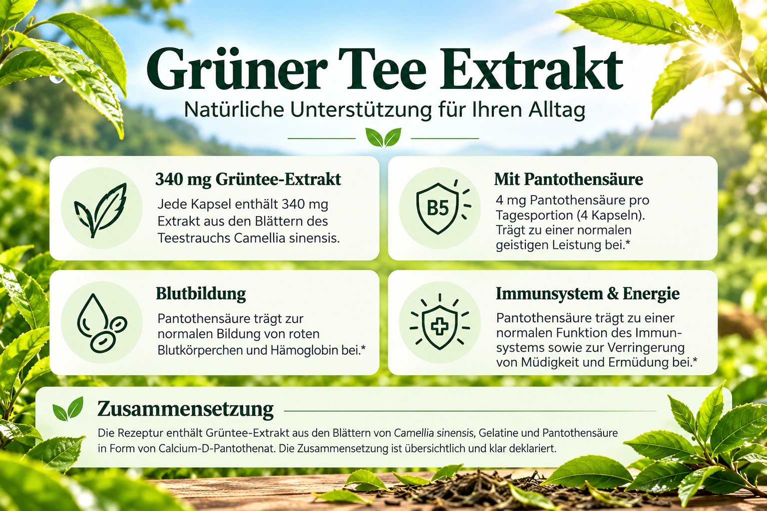 Gr&uuml;ner Tee Extrakt 340 mg mit Vitamin B5 &ndash; &Uuml;bersicht zur Zusammensetzung und zu den Funktionen von Pantothens&auml;ure, umrahmt von gr&uuml;nen Teebl&auml;ttern.