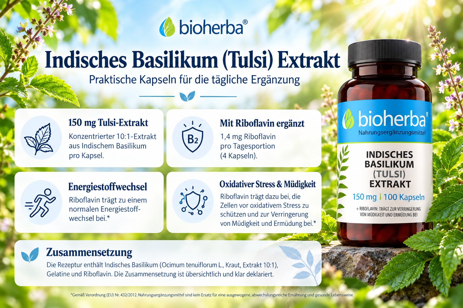 Bioherba Indisches Basilikum (Tulsi) Extrakt 150 mg &ndash; 100 Kapseln mit Vitamin B2. &Uuml;bersicht zu Zusammensetzung und Funktionen von Riboflavin.