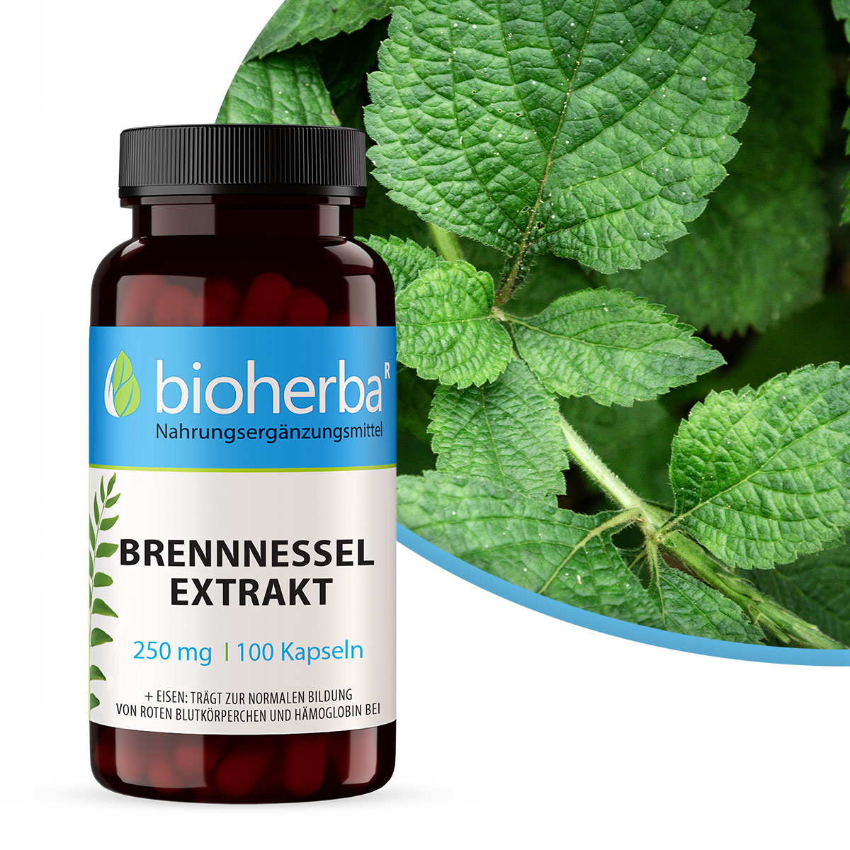 Brennnessel Extrakt 250 mg 100 Kapseln