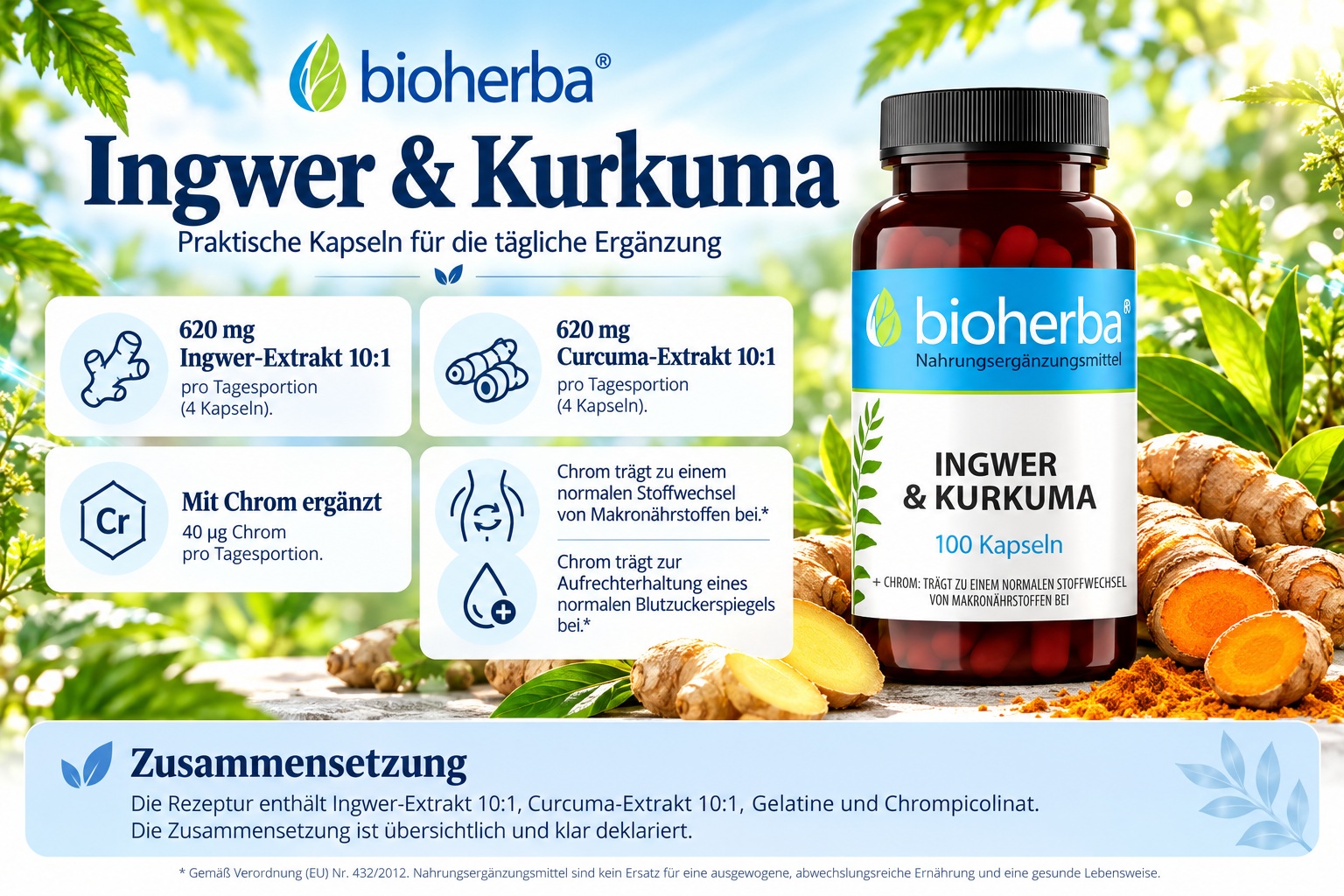 Infografik zu Bioherba Brennnessel Extrakt mit Eisen mit Produktvorteilen, Zusammensetzung und Informationen 