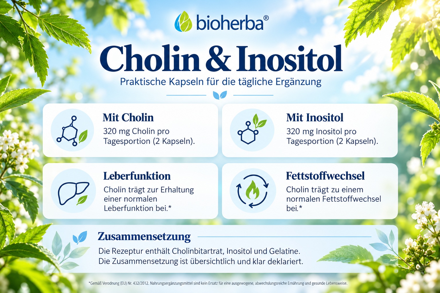 Werbebanner f&uuml;r Bioherba Cholin & Inositol mit Naturhintergrund, Angaben zu 320 mg Cholin und 320 mg Inositol pro Tagesportion sowie den Vorteilen f&uuml;r normale Leberfunktion und normalen Fettstoffwechsel.